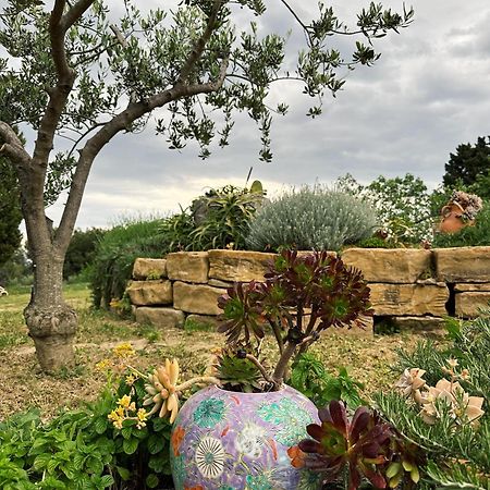 Istrian Green House Portoroz Luaran gambar