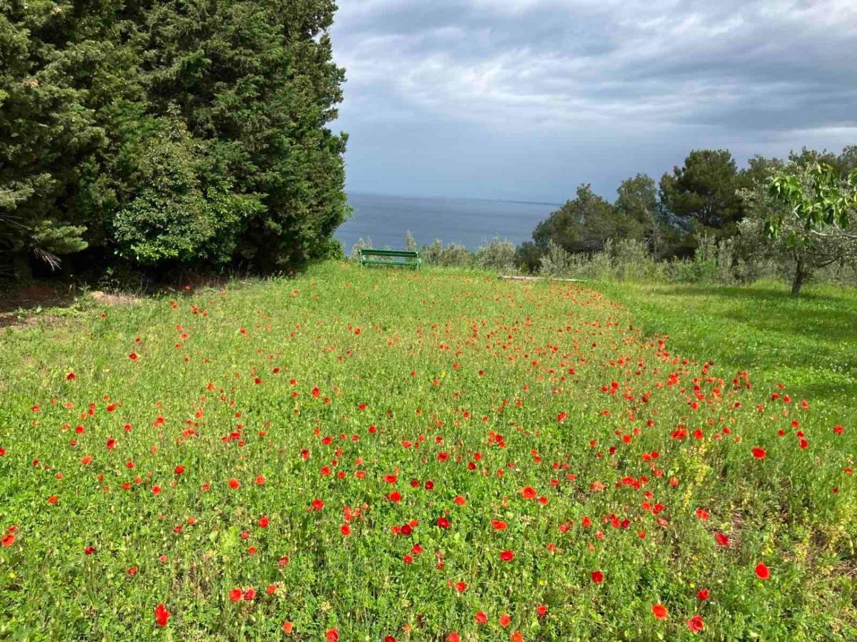 Istrian Green House Portoroz Luaran gambar